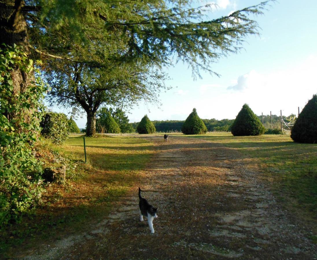 Hauts De Sentelines Sejour Authentique En Pleine Nature Gavaudun Esterno foto