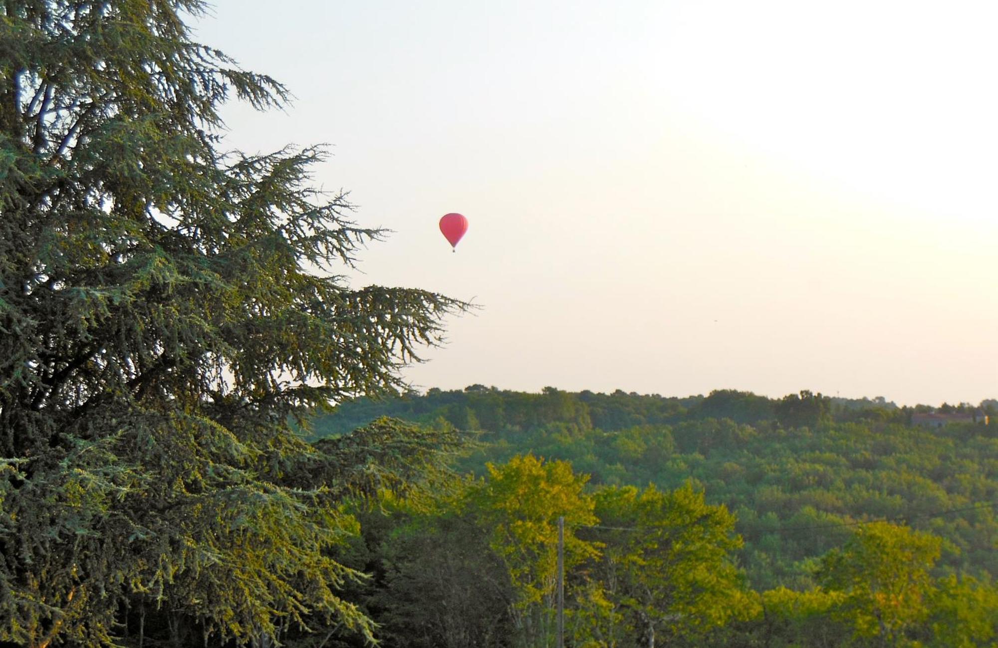 Hauts De Sentelines Sejour Authentique En Pleine Nature Gavaudun Esterno foto
